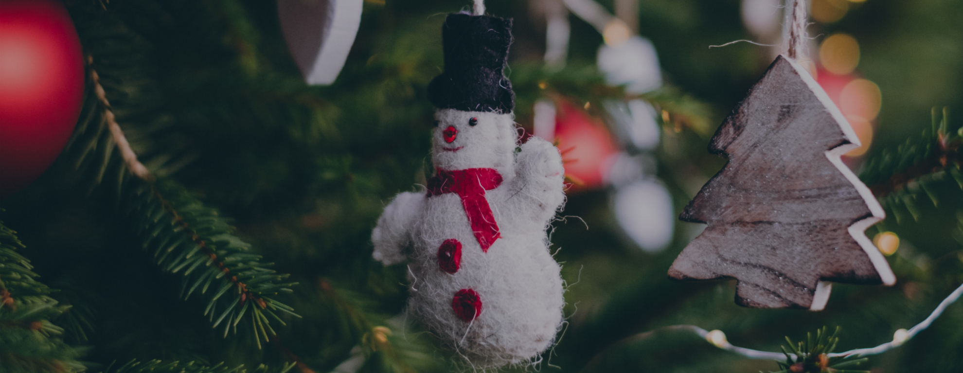 2022 19 Albemarle County Christmas Tree Pickup Christmas Tree Delivery, Christmas Tree Pickup - Goshare